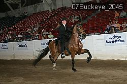 07Buckeye_2045 proof