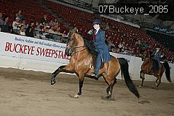 07Buckeye_2085 proof