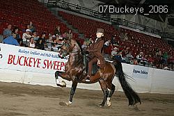 07Buckeye_2086 proof