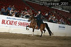 07Buckeye_2091 proof