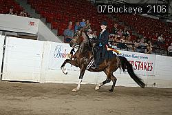 07Buckeye_2106 proof