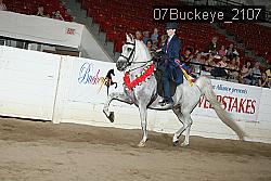 07Buckeye_2107 proof
