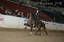 07Buckeye_2116 proof