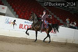 07Buckeye_2124 proof