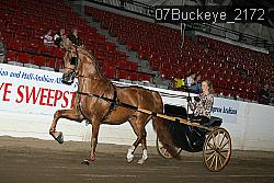 07Buckeye_2172 proof