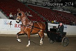 07Buckeye_2174 proof