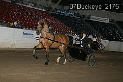 07Buckeye_2175 proof