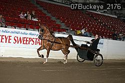 07Buckeye_2176 proof