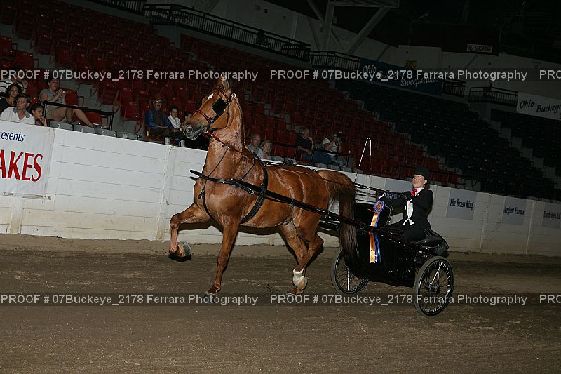 Proof 07Buckeye_2178