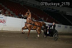 07Buckeye_2178 proof