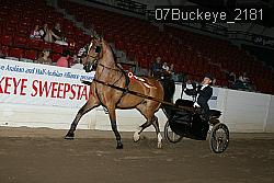 07Buckeye_2181 proof