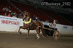 07Buckeye_2182 proof