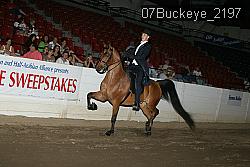 07Buckeye_2197 proof