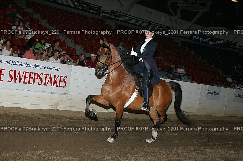Proof 07Buckeye_2201