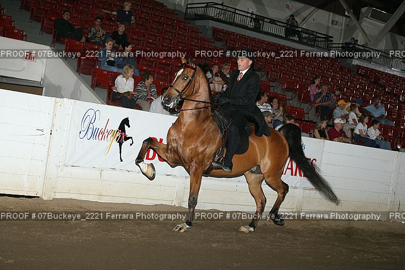 Proof 07Buckeye_2221