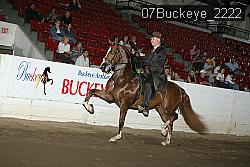 07Buckeye_2222 proof