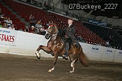 07Buckeye_2227 proof