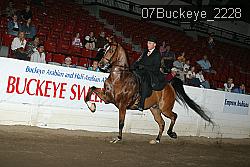 07Buckeye_2228 proof