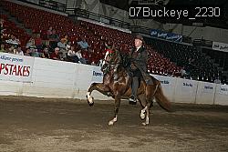 07Buckeye_2230 proof
