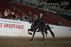 07Buckeye_2233 proof