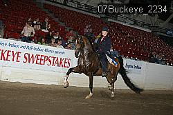 07Buckeye_2234 proof