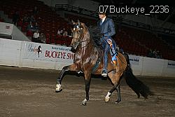 07Buckeye_2236 proof