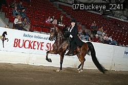 07Buckeye_2241 proof