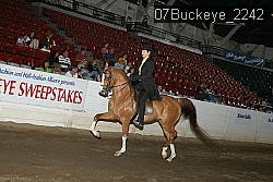 07Buckeye_2242 proof