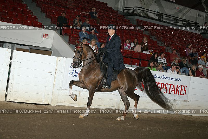 Proof 07Buckeye_2247