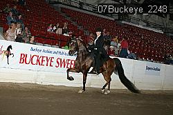07Buckeye_2248 proof