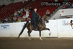 07Buckeye_2252 proof