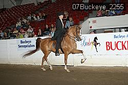 07Buckeye_2255 proof