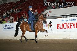 07Buckeye_2256 proof
