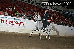 07Buckeye_2265 proof