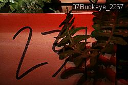 07Buckeye_2267 proof