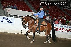 07Buckeye_2271 proof