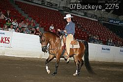 07Buckeye_2275 proof