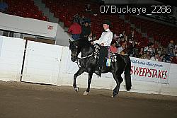 07Buckeye_2286 proof