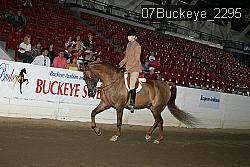 07Buckeye_2295 proof