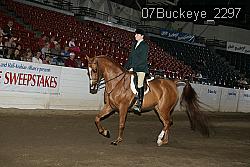07Buckeye_2297 proof