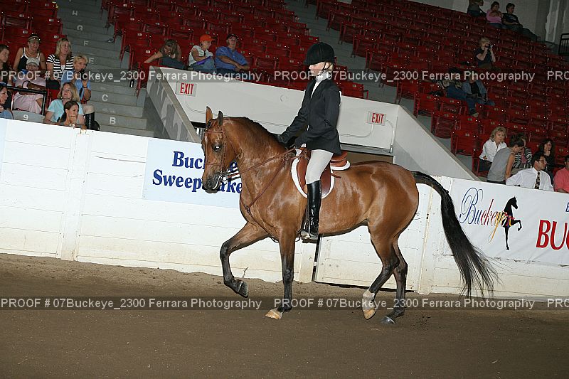 Proof 07Buckeye_2300