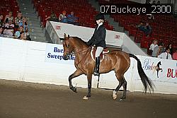 07Buckeye_2300 proof