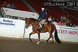 07Buckeye_2301 proof