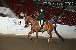07Buckeye_2302 proof