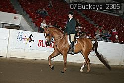 07Buckeye_2305 proof