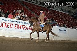 07Buckeye_2308 proof