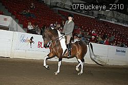 07Buckeye_2310 proof
