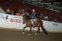 07Buckeye_2312 proof