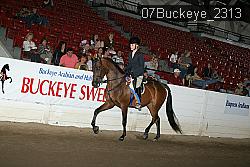 07Buckeye_2313 proof