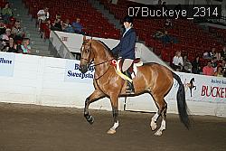 07Buckeye_2314 proof